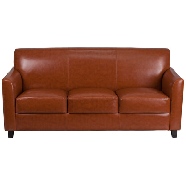 Contemporary Style Cognac Leather Sofa